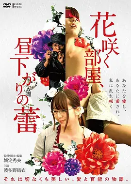 丁度巴拉斯电影《偷窥者》1994年作品海报